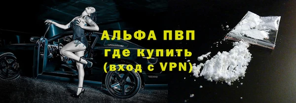 индика Богородицк