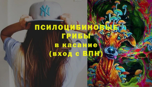 индика Богородицк