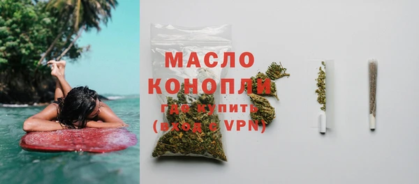 индика Богородицк