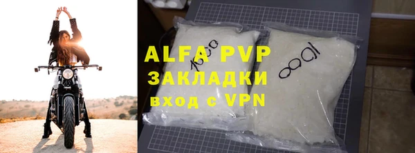 индика Богородицк