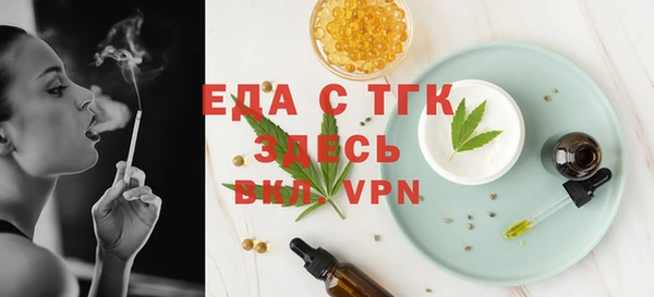 индика Богородицк