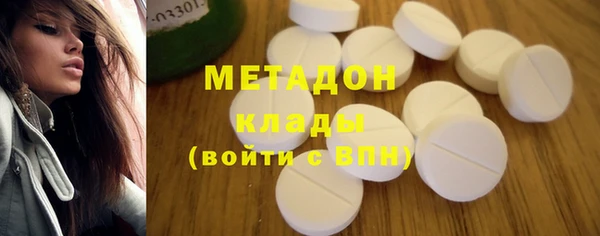 индика Богородицк