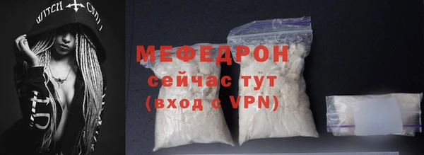индика Богородицк