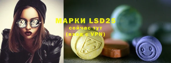 индика Богородицк