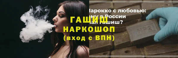 индика Богородицк