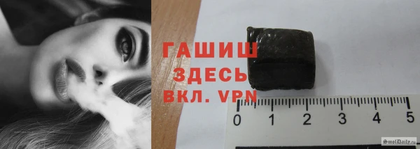индика Богородицк