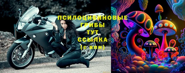 дурь Богданович