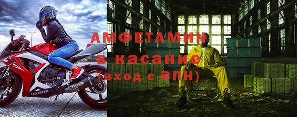 индика Богородицк