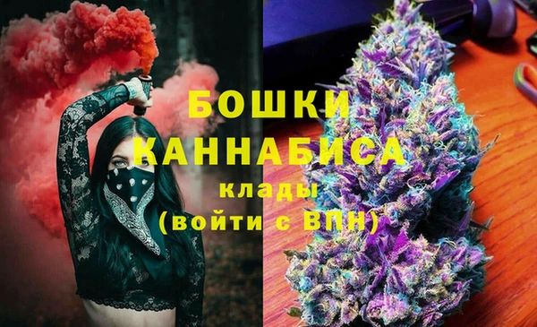 индика Богородицк