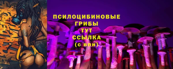 дурь Богданович