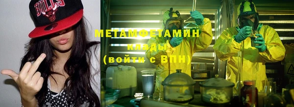 индика Богородицк