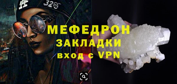 индика Богородицк