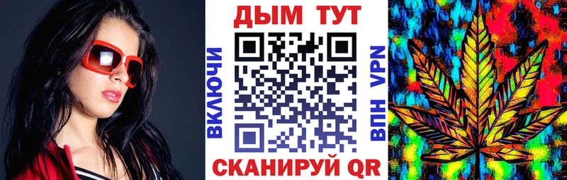 Шишки марихуана SATIVA & INDICA  Купить закладки  Губаха 